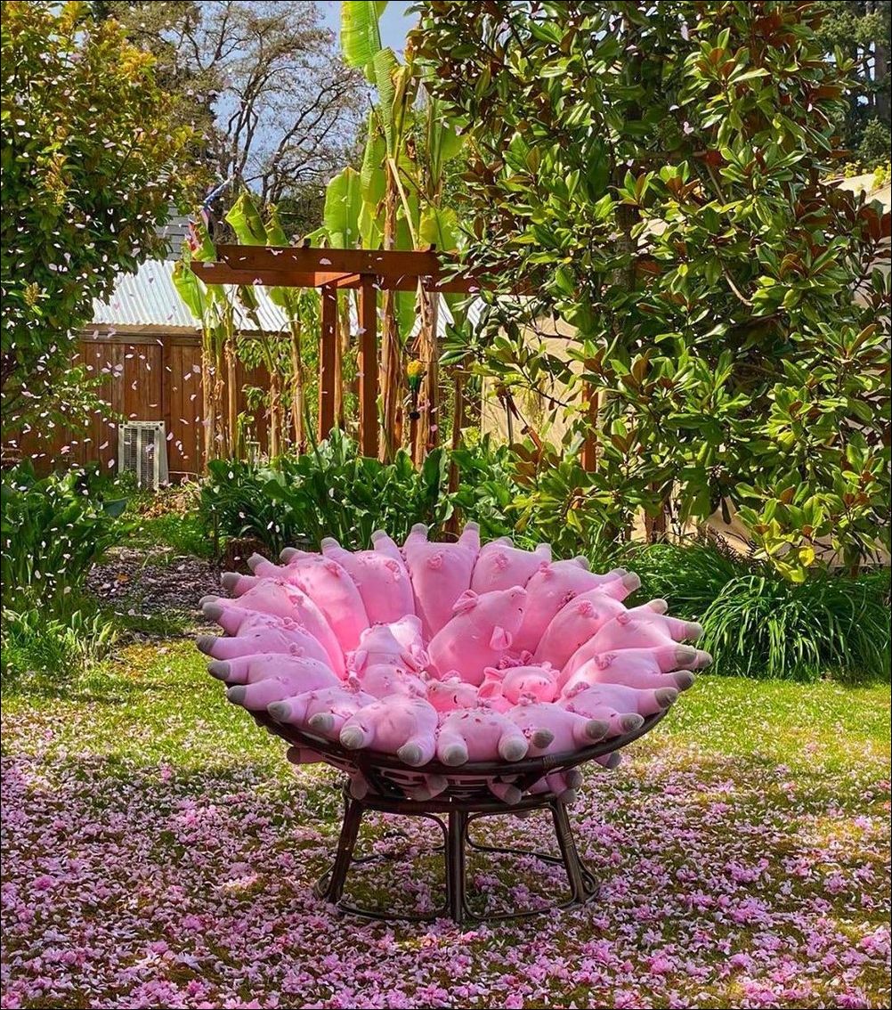 фото приколы