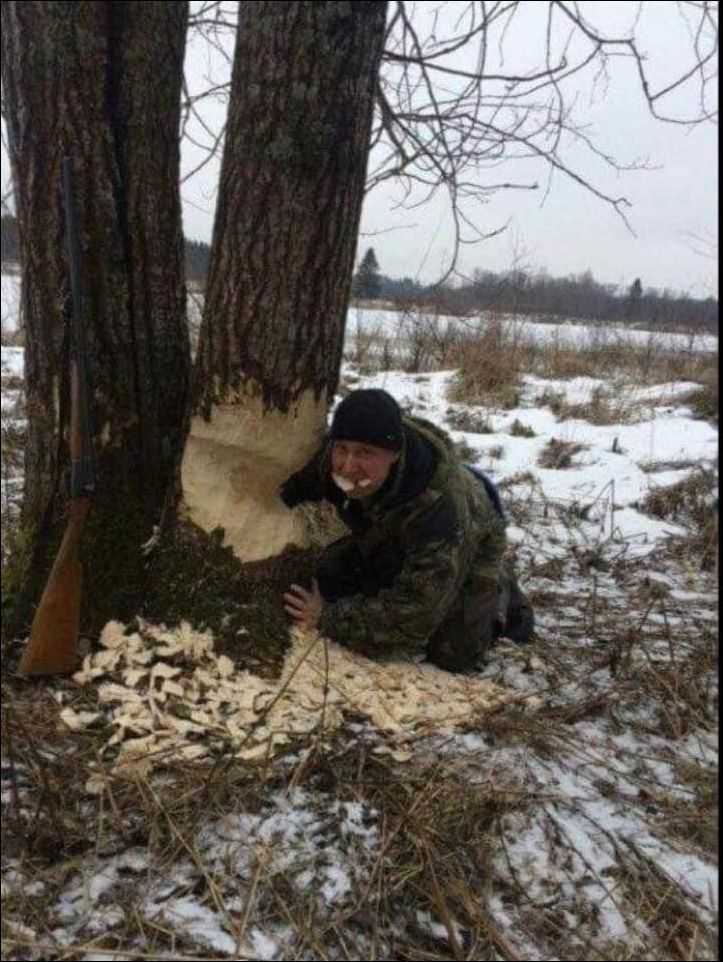 фото приколы