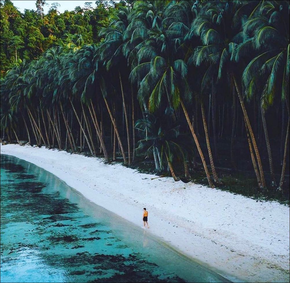 фото приколы