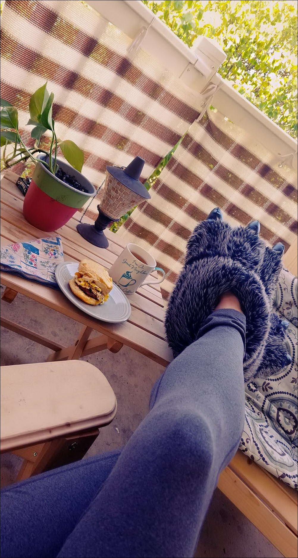 фото приколы