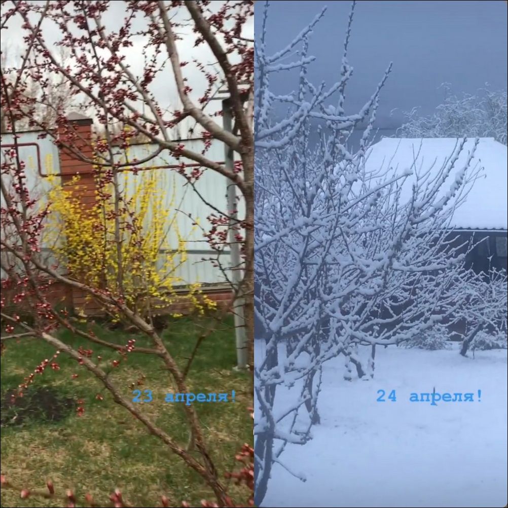 фото приколы