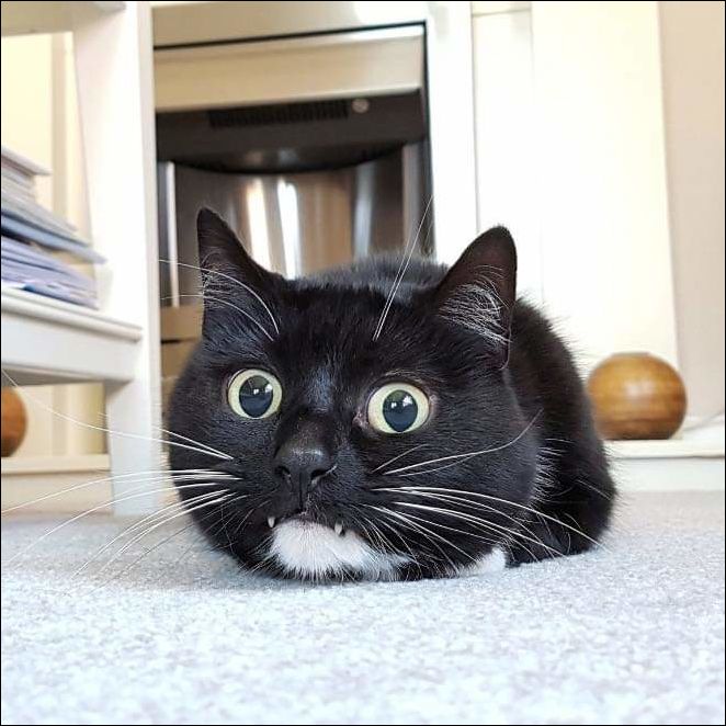 фото приколы