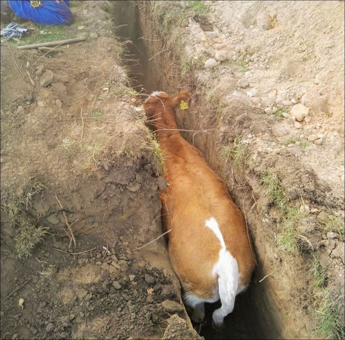 фото приколы