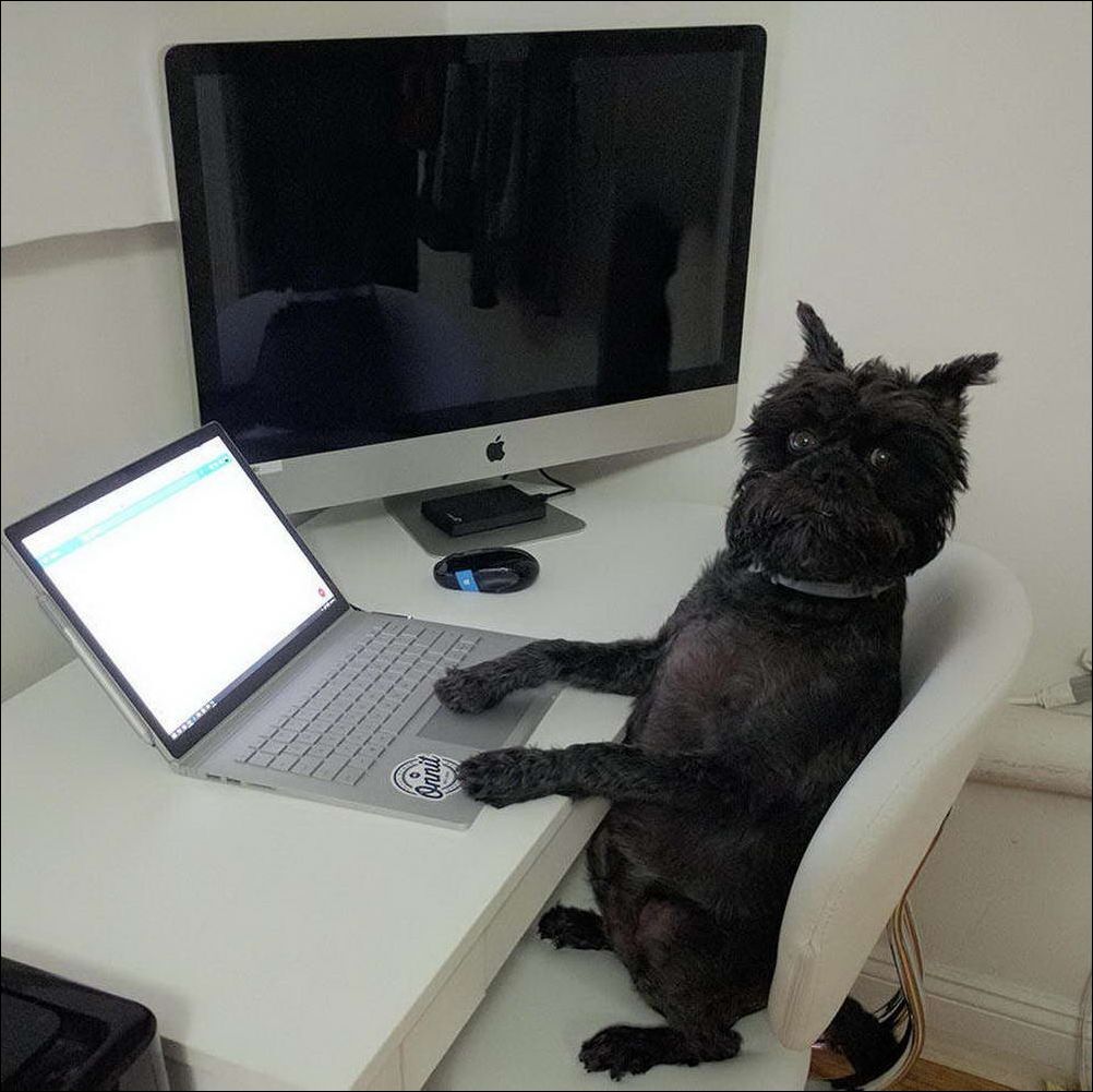 фото приколы