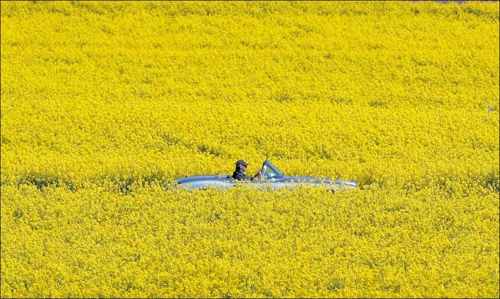 фото приколы