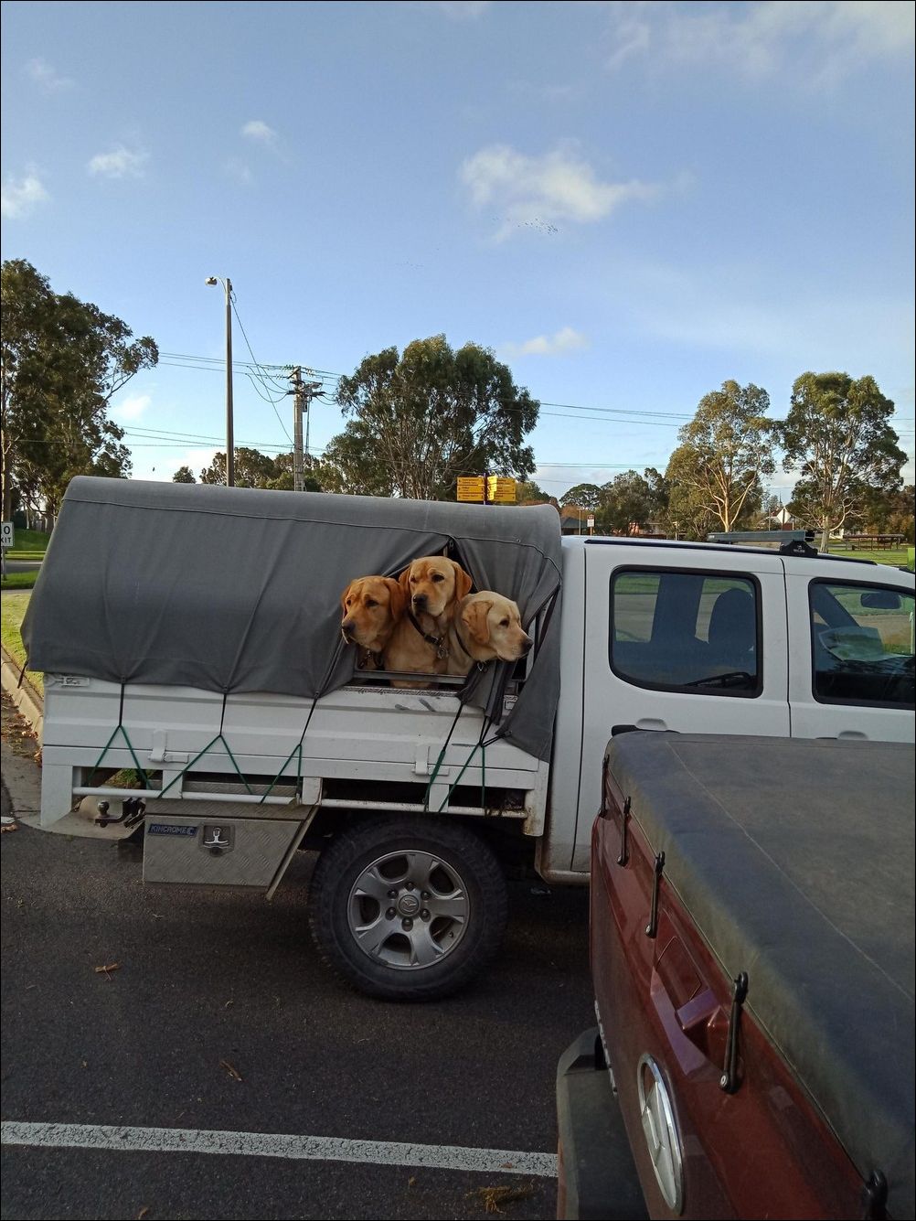 фото приколы