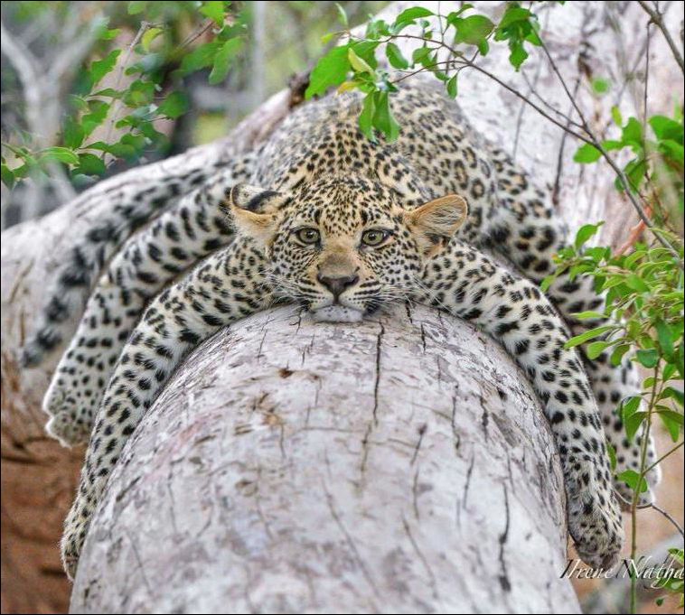 фото приколы