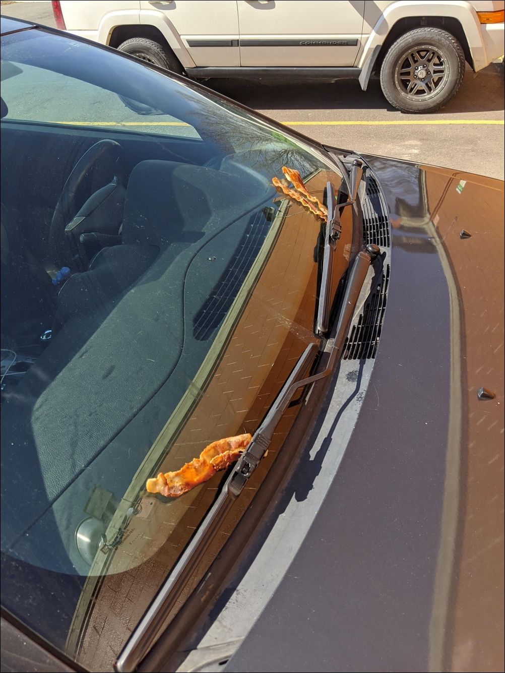 фото приколы