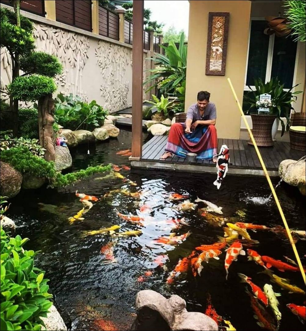 фото приколы