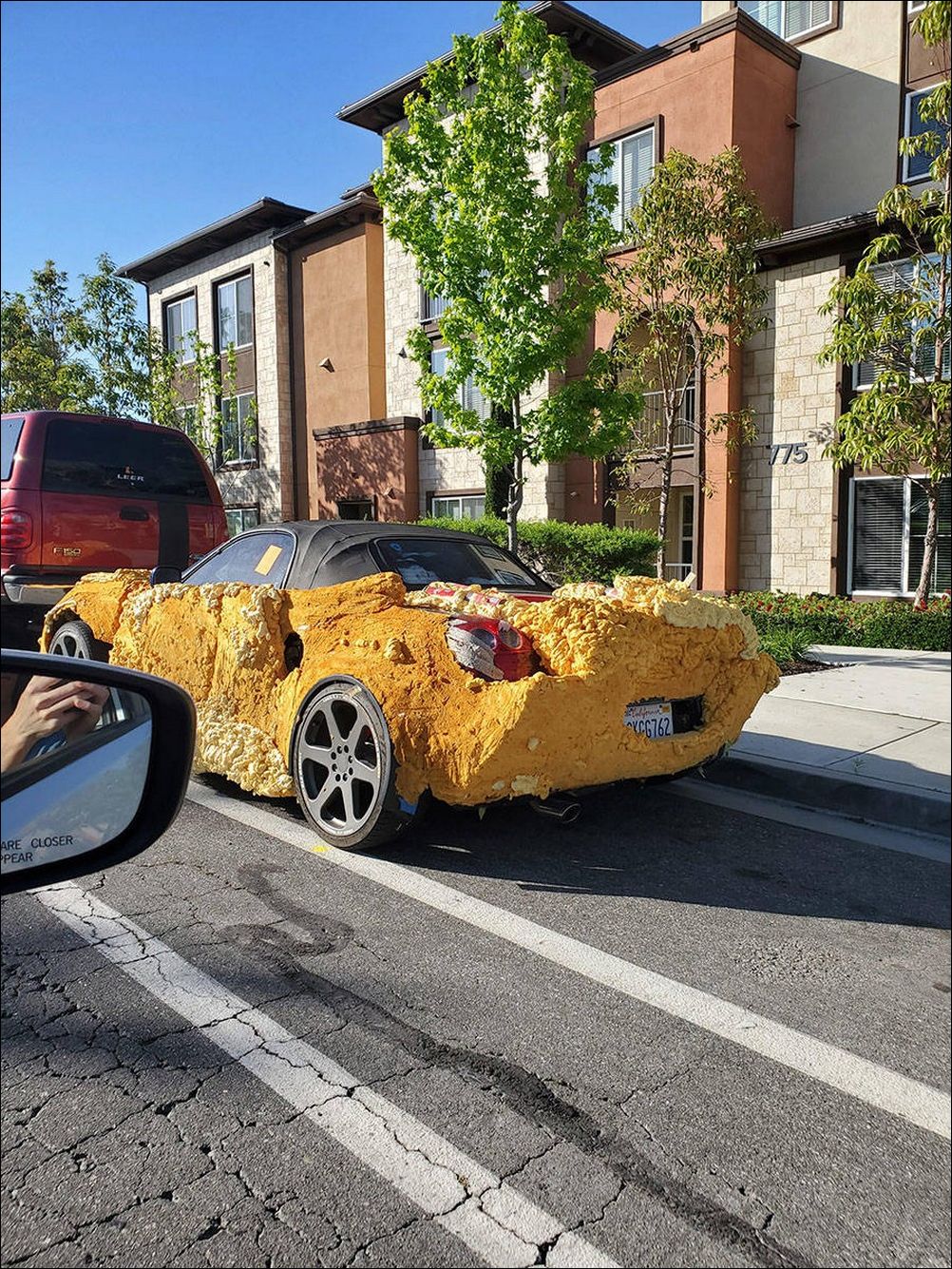 фото приколы