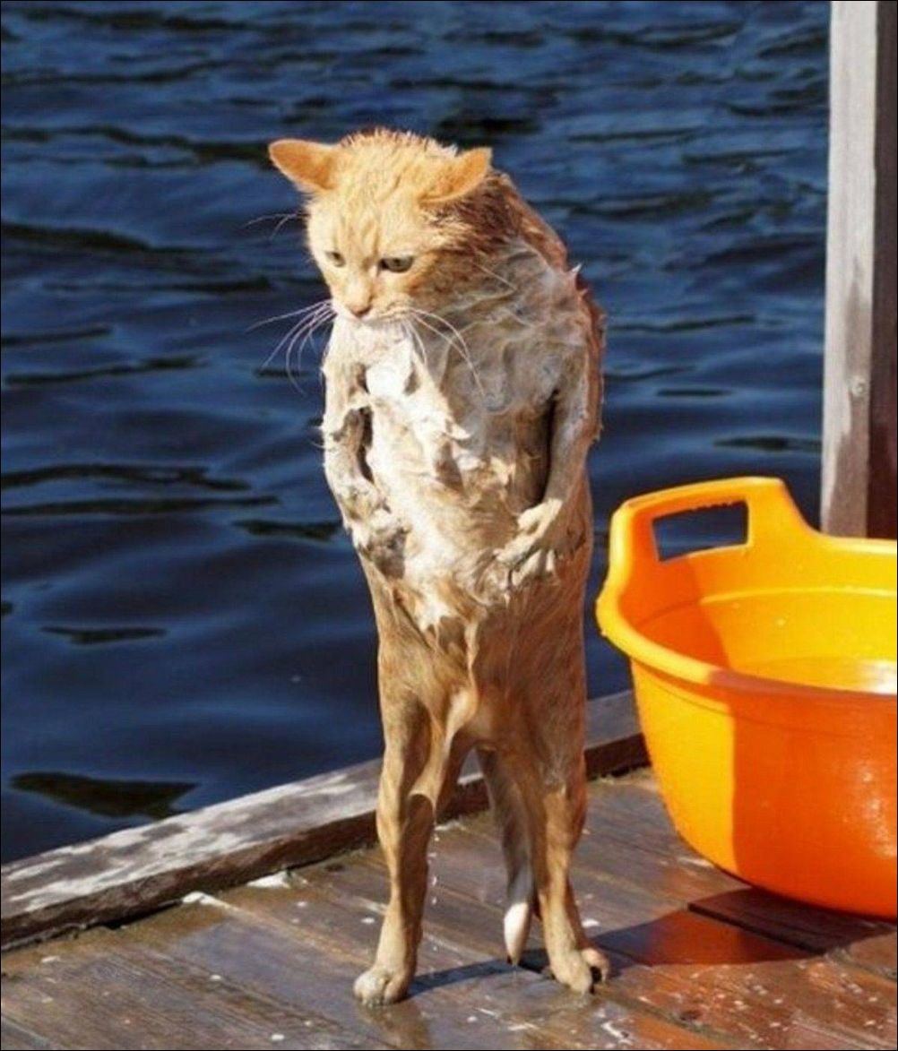 фото приколы