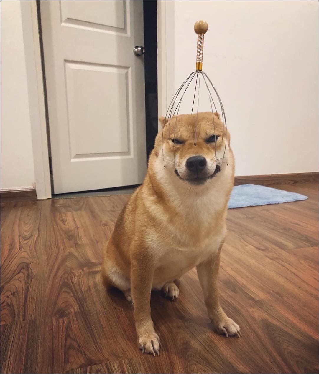 фото приколы