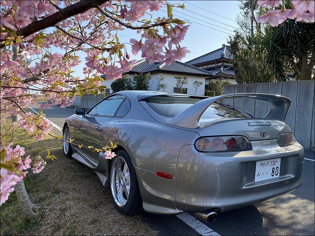 фото приколы