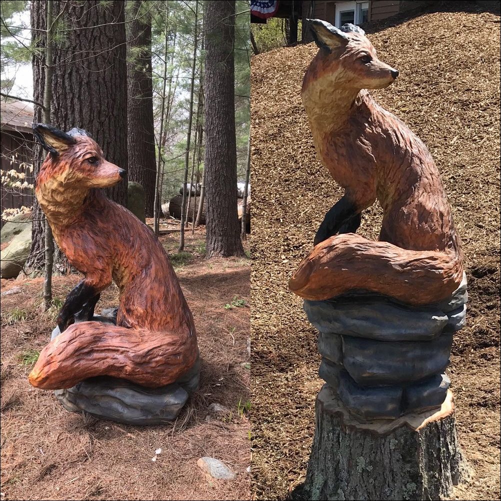 фото приколы