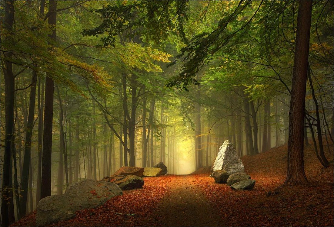 фото приколы