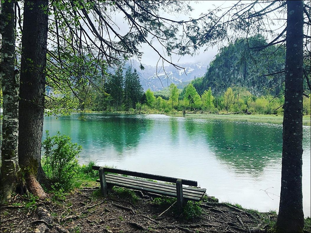 фото приколы