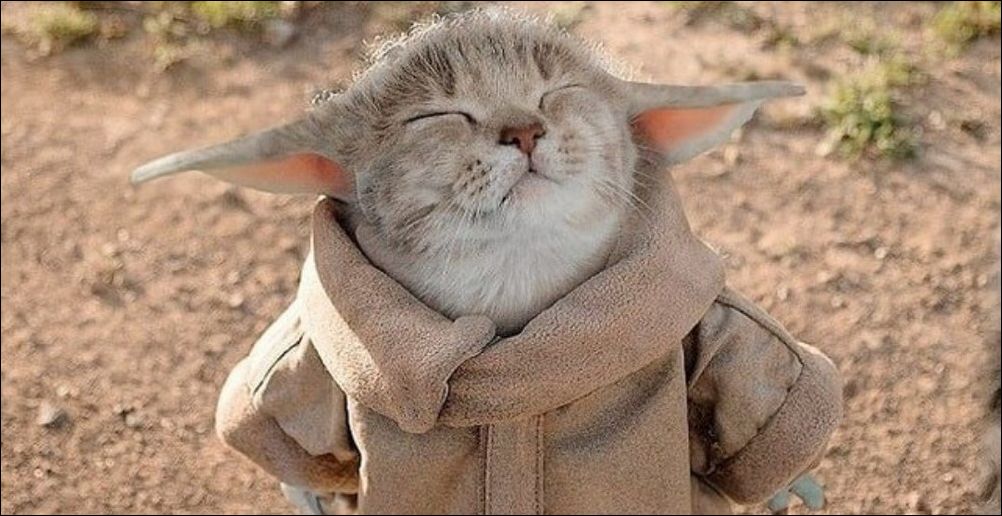 фото приколы