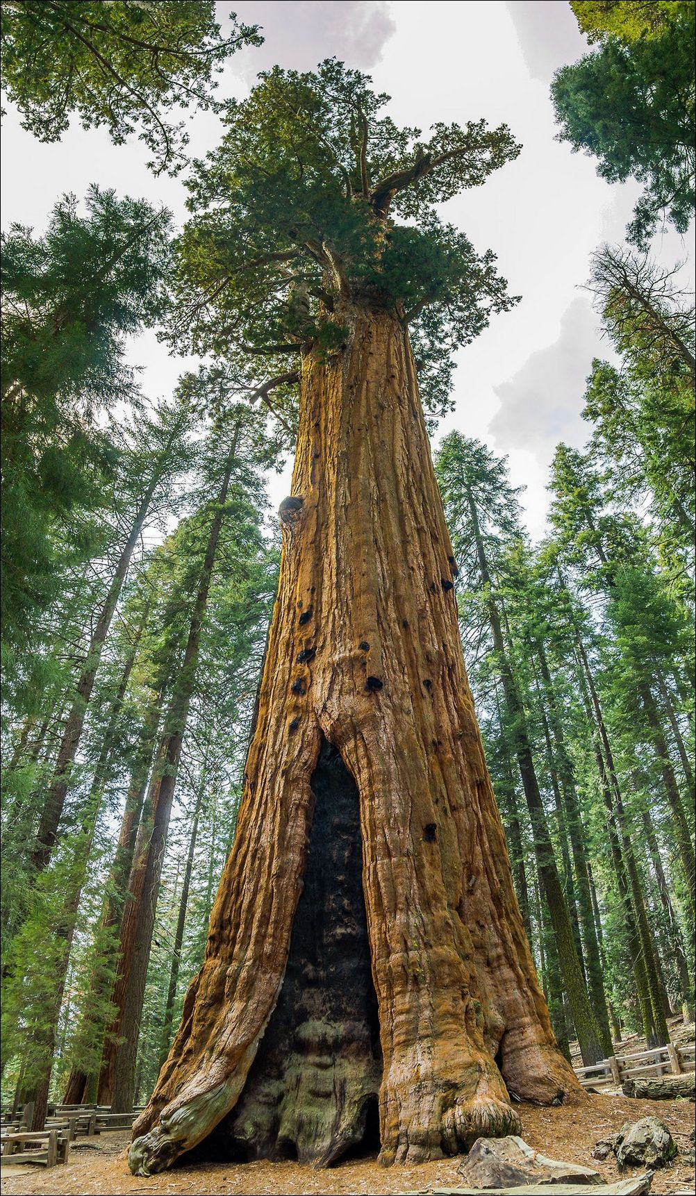 фото приколы