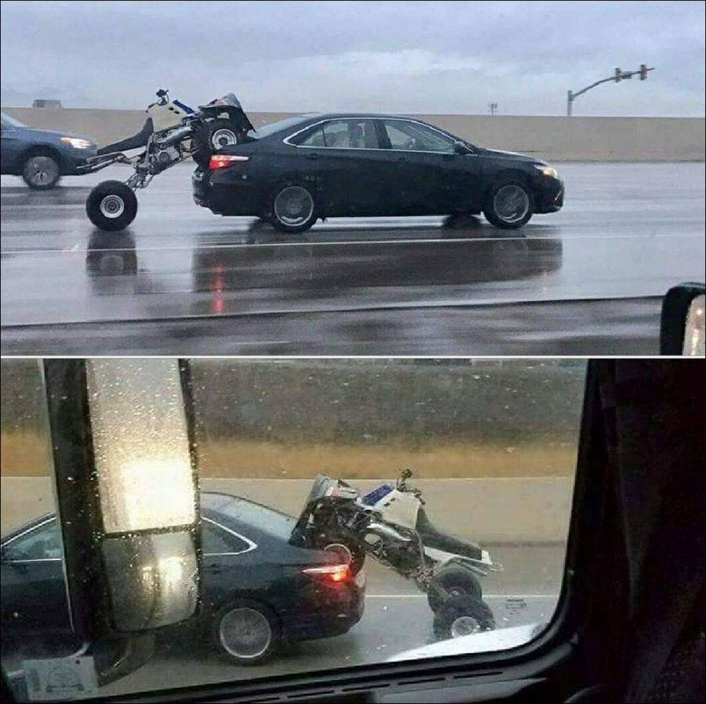 фото приколы