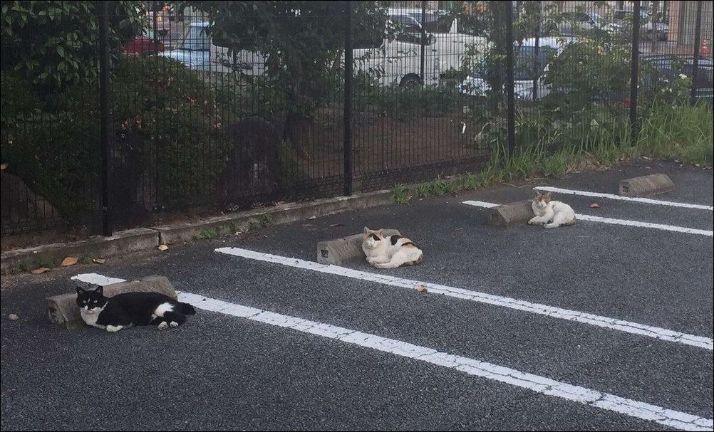 фото приколы