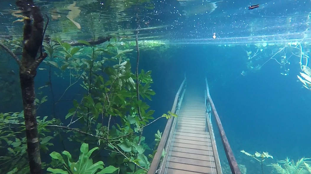 фото приколы