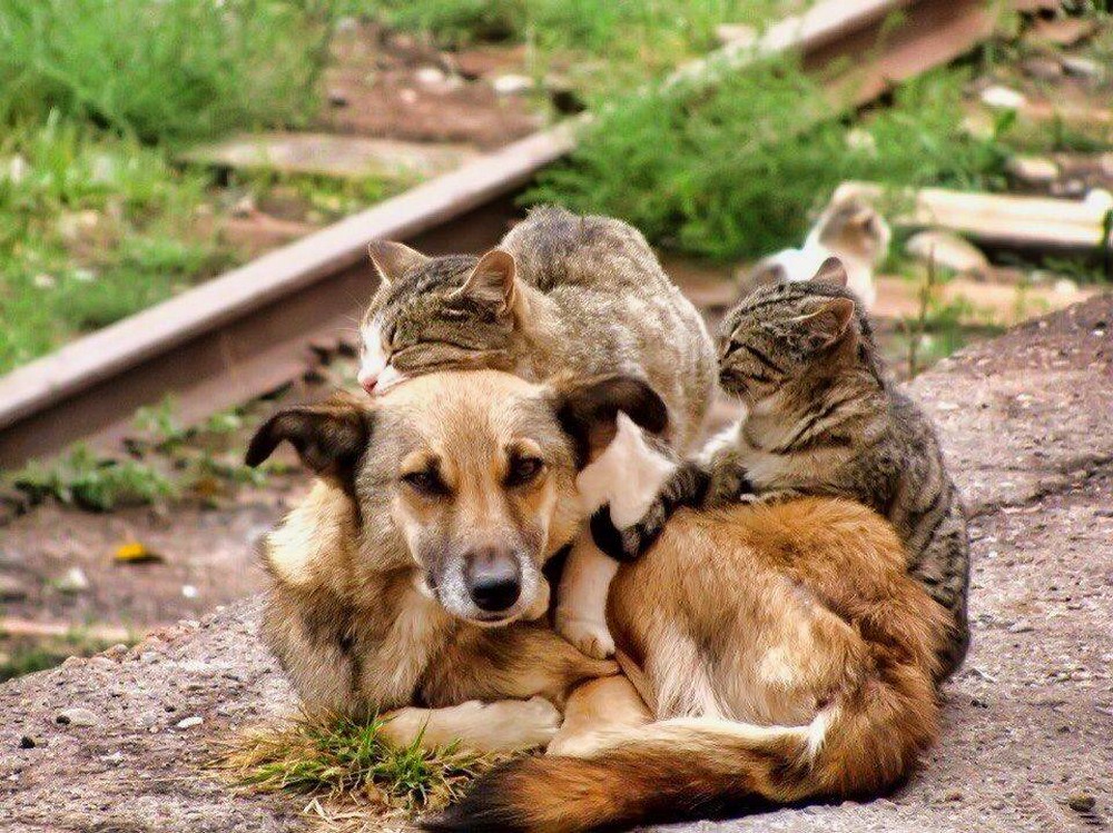 фото приколы