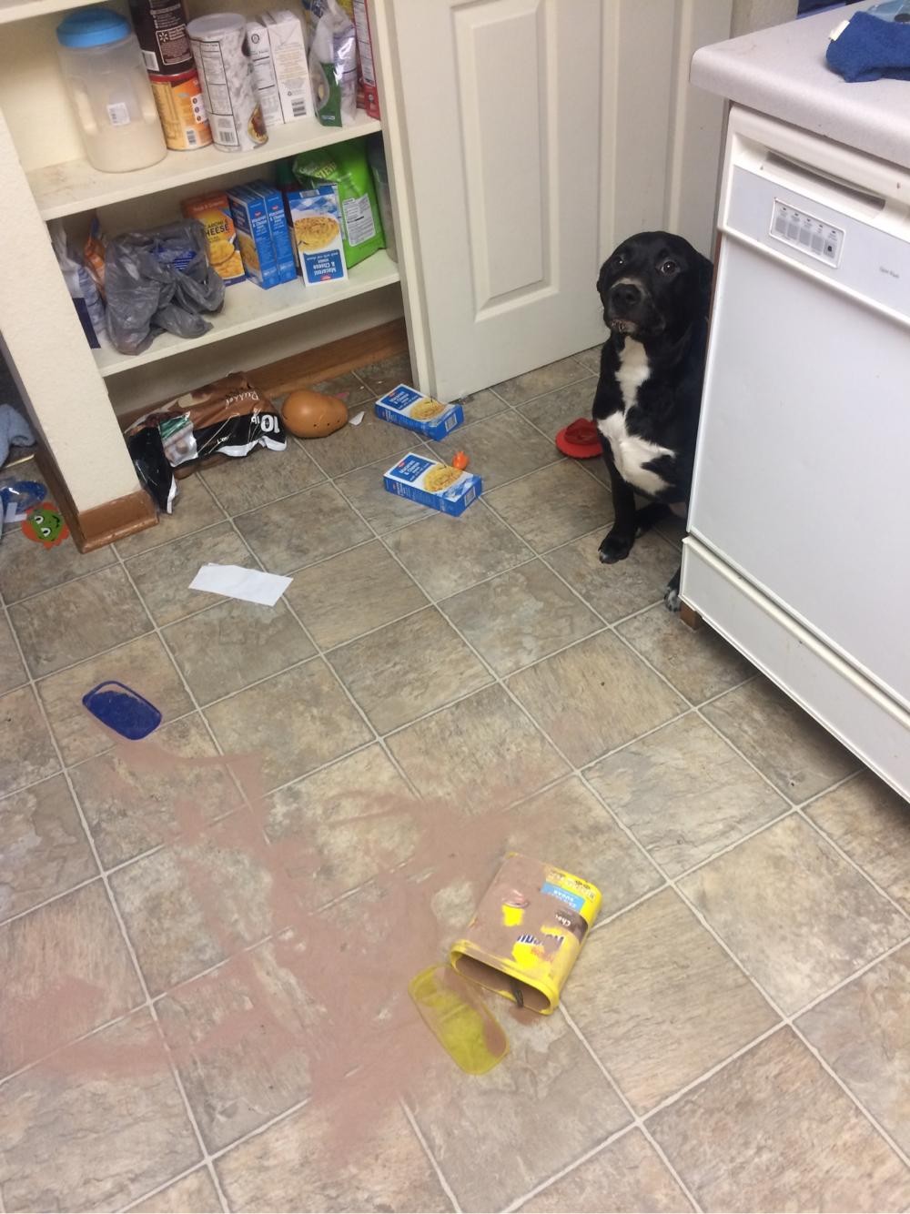 фото приколы