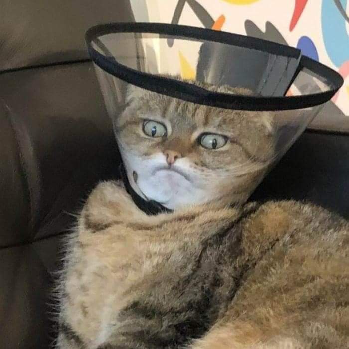 фото приколы