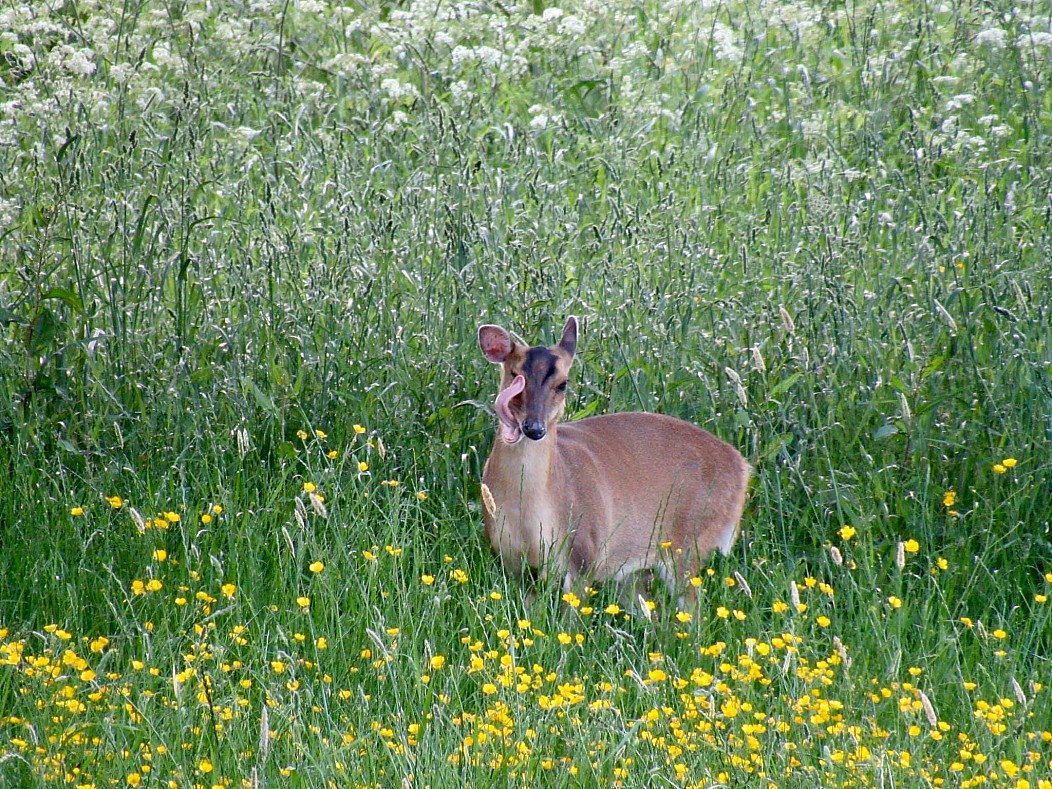 фото приколы