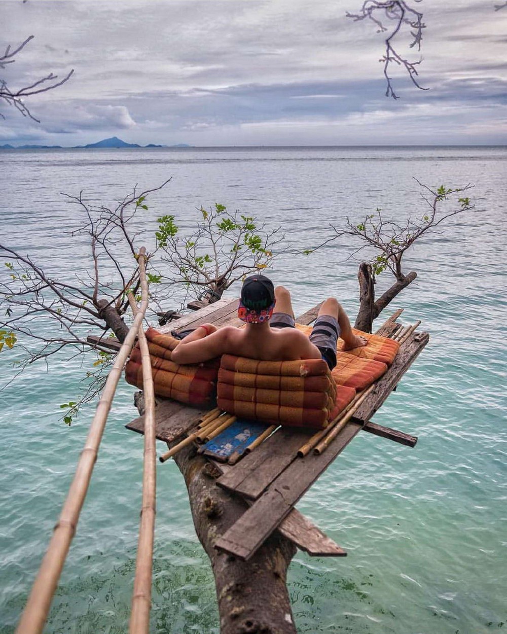 фото приколы