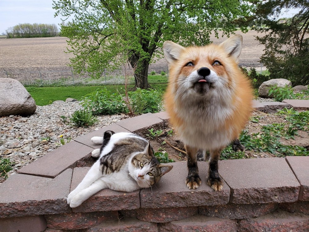 фото приколы