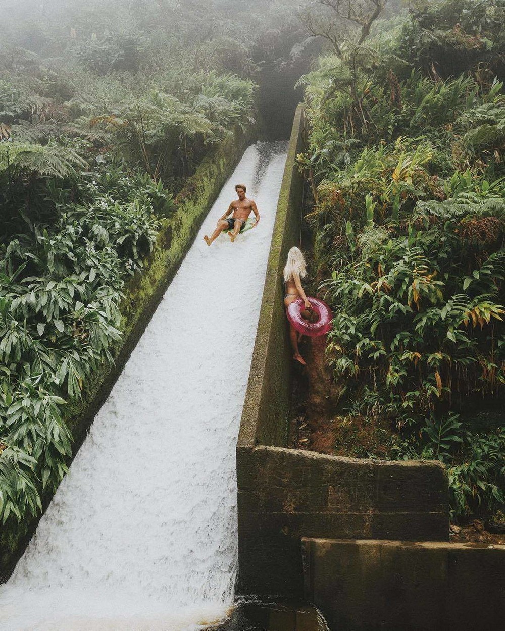 фото приколы