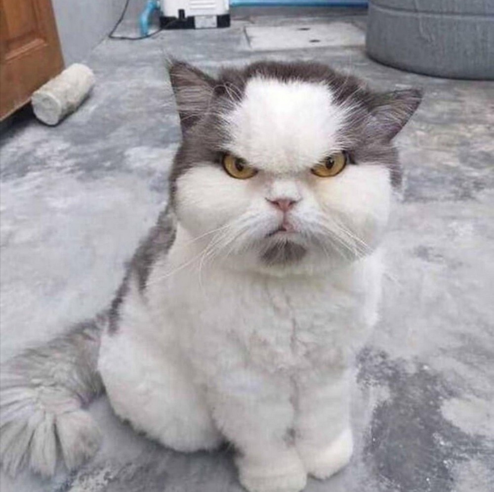 фото приколы