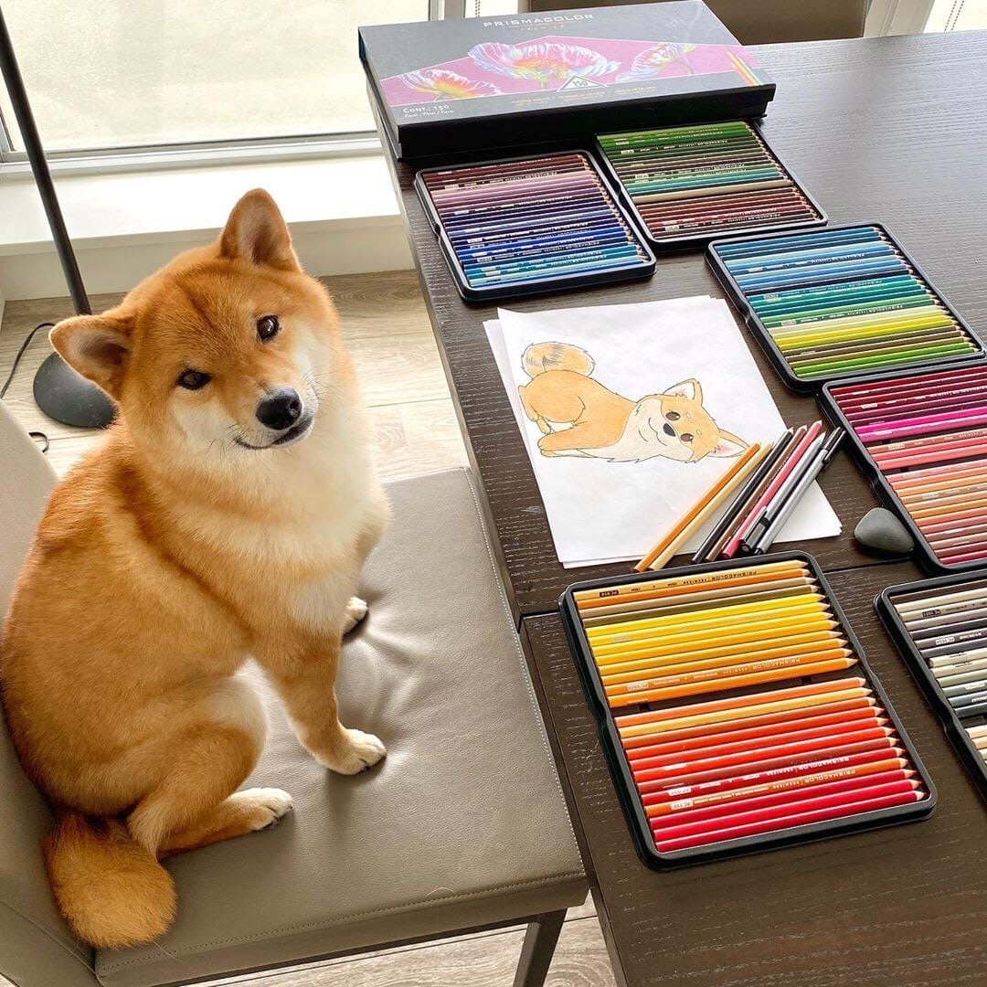 фото приколы