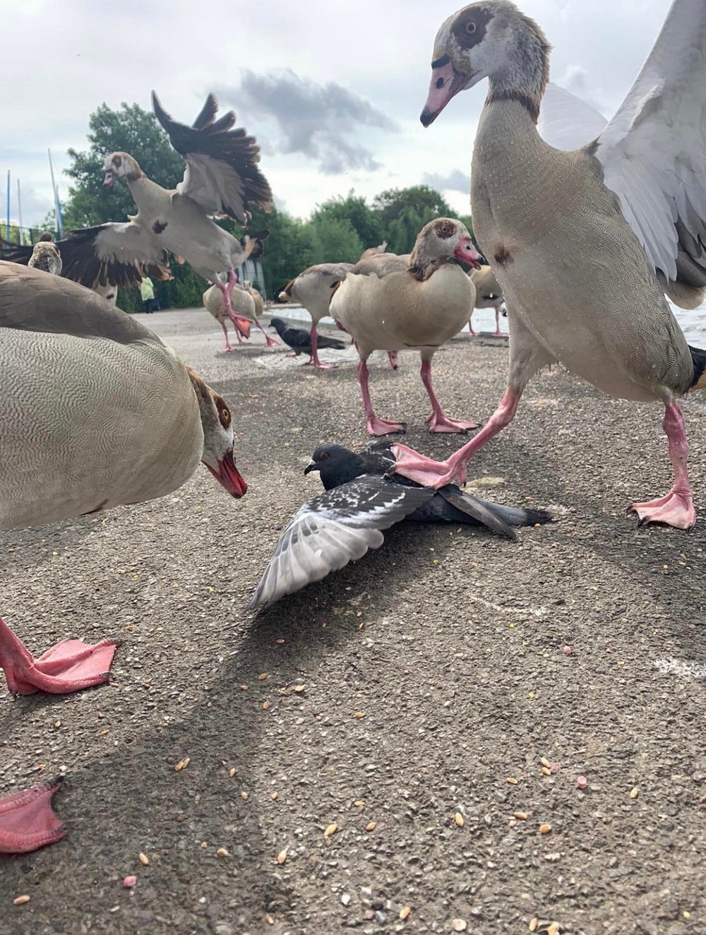 фото приколы