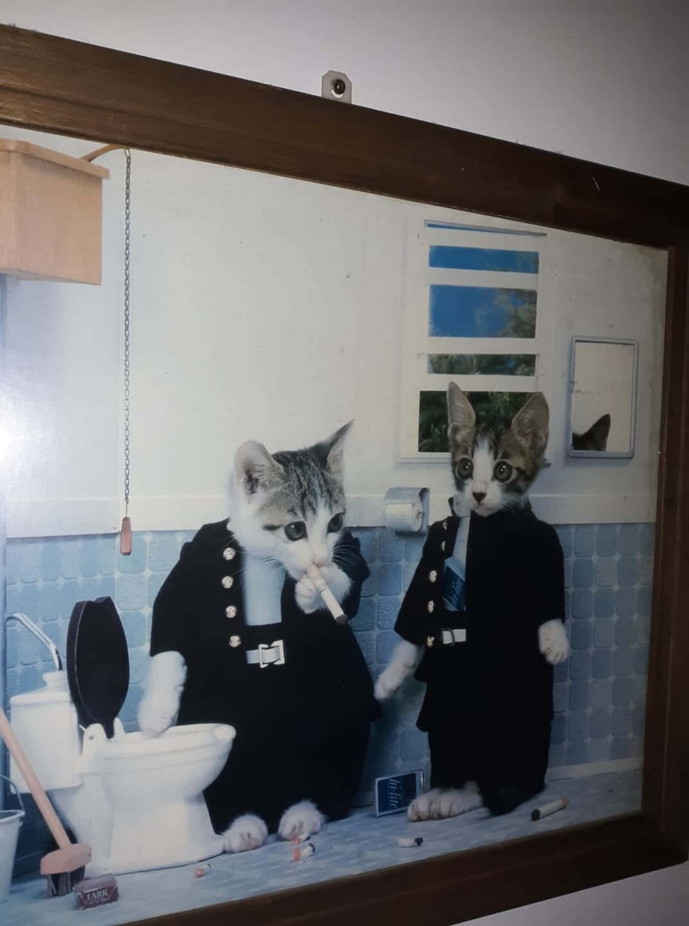 фото приколы