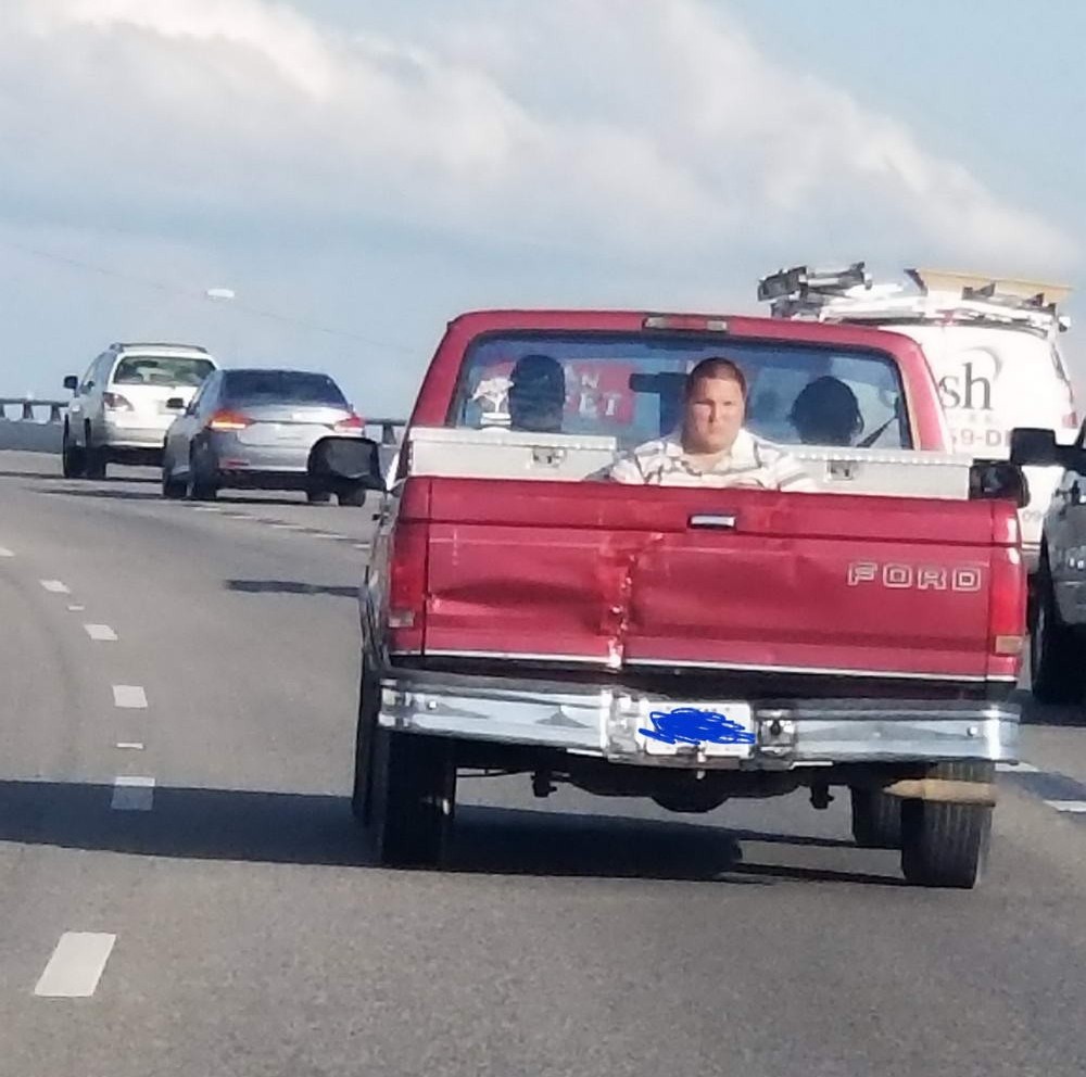 фото приколы