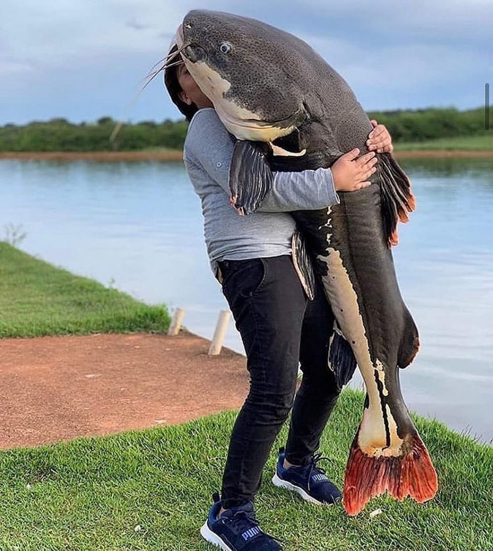 фото приколы