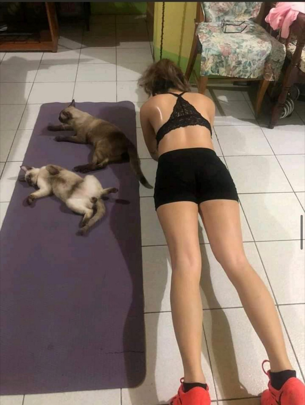 фото приколы