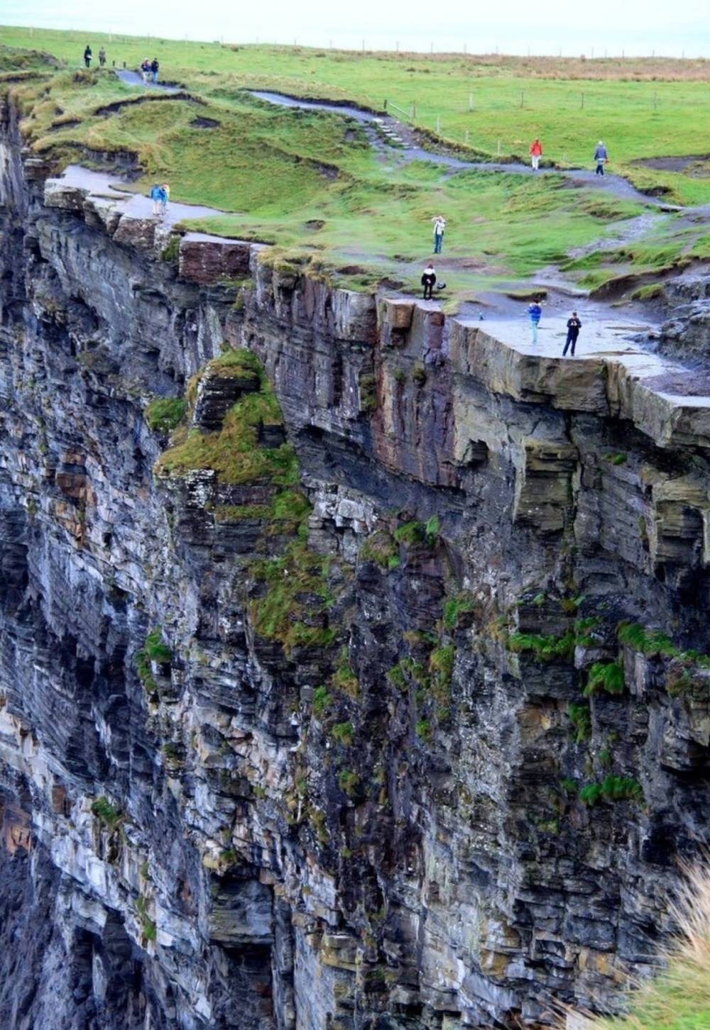 фото приколы