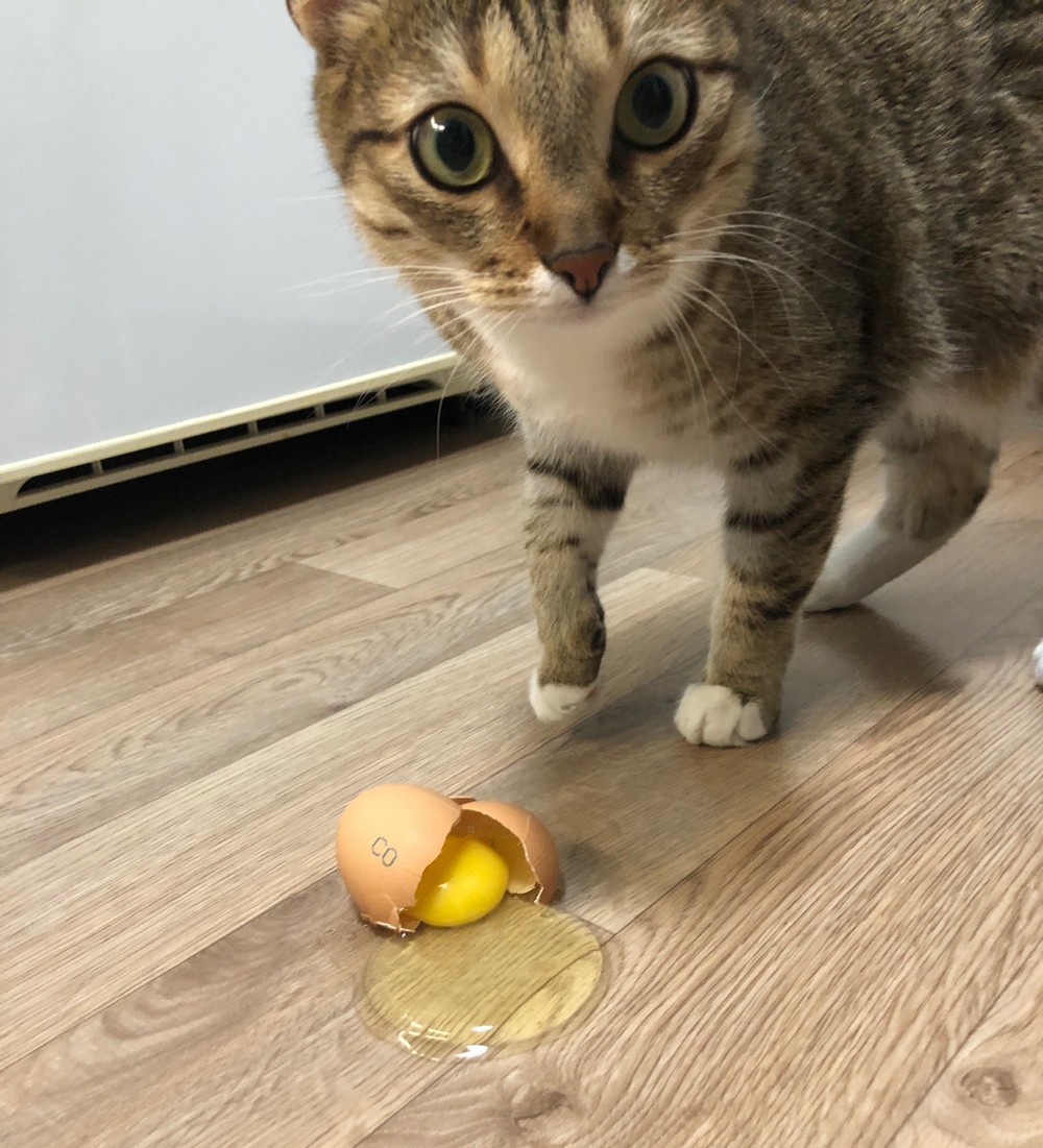 фото приколы