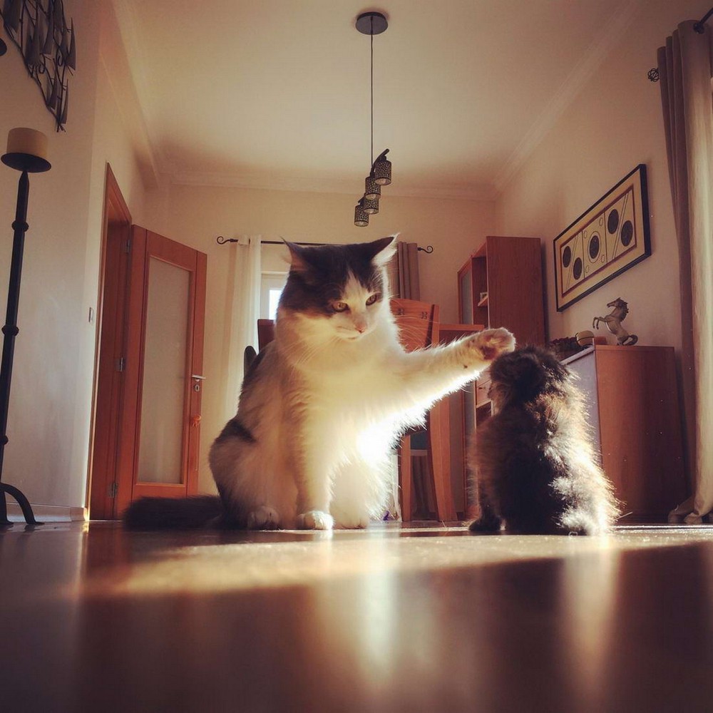 фото приколы