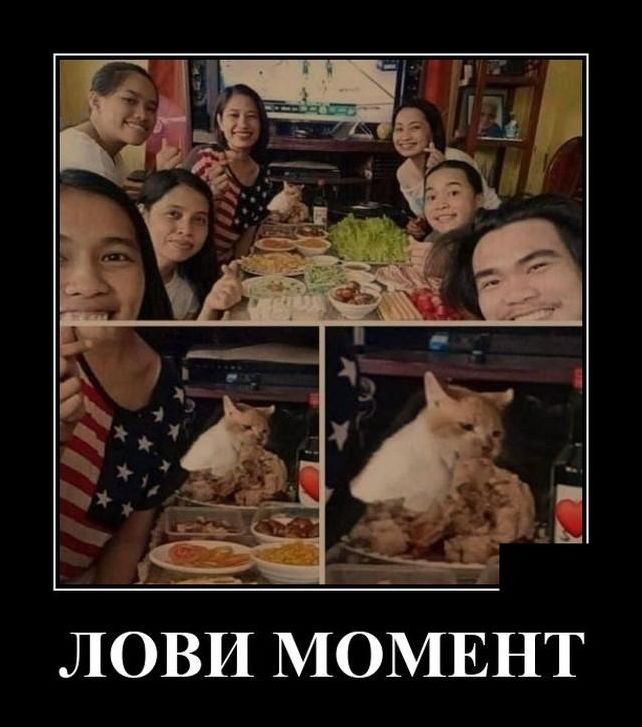 демотиватор