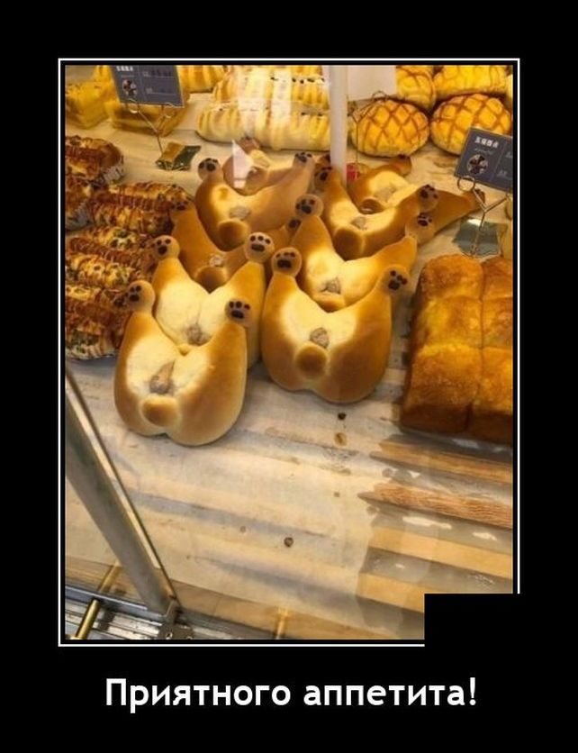 демотиватор