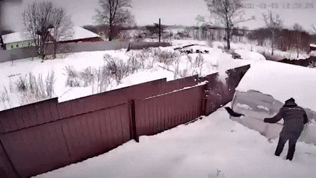 Прикольные гифки