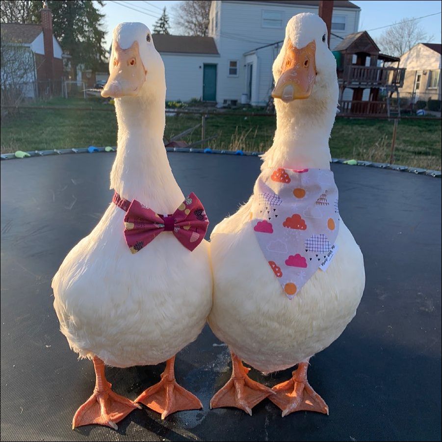 фото приколы