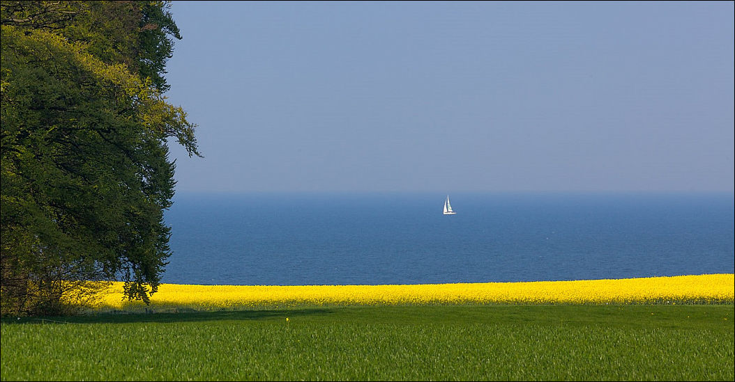 фото приколы