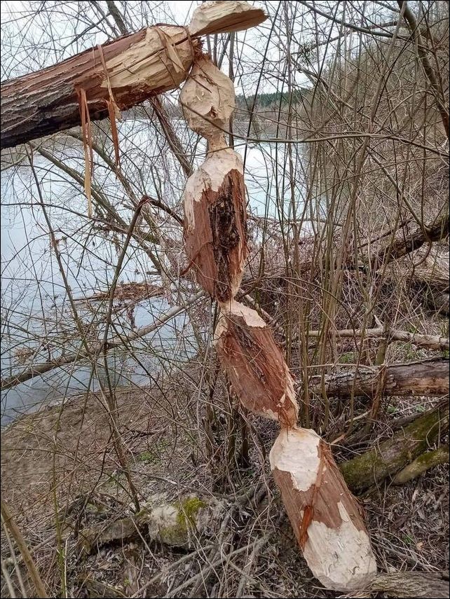 фото приколы