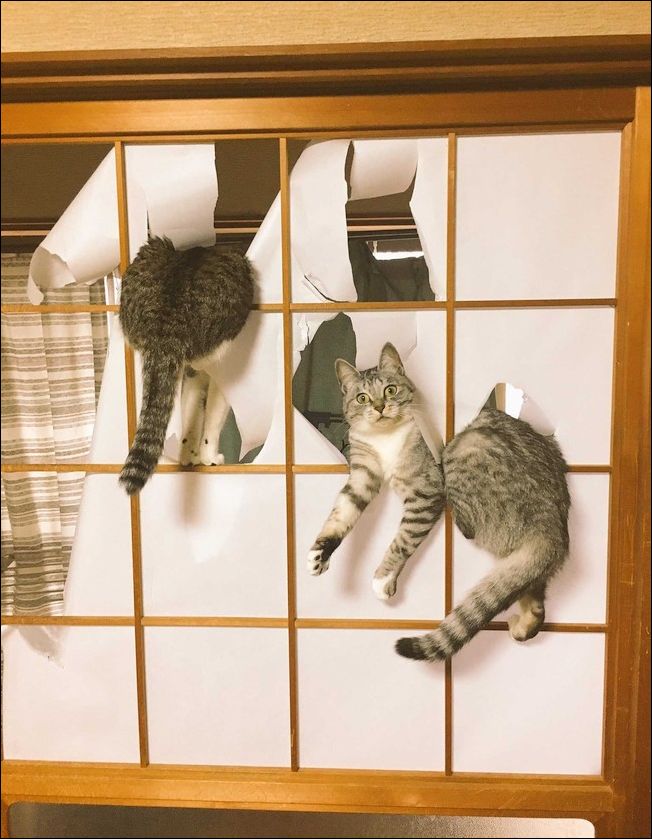 фото приколы