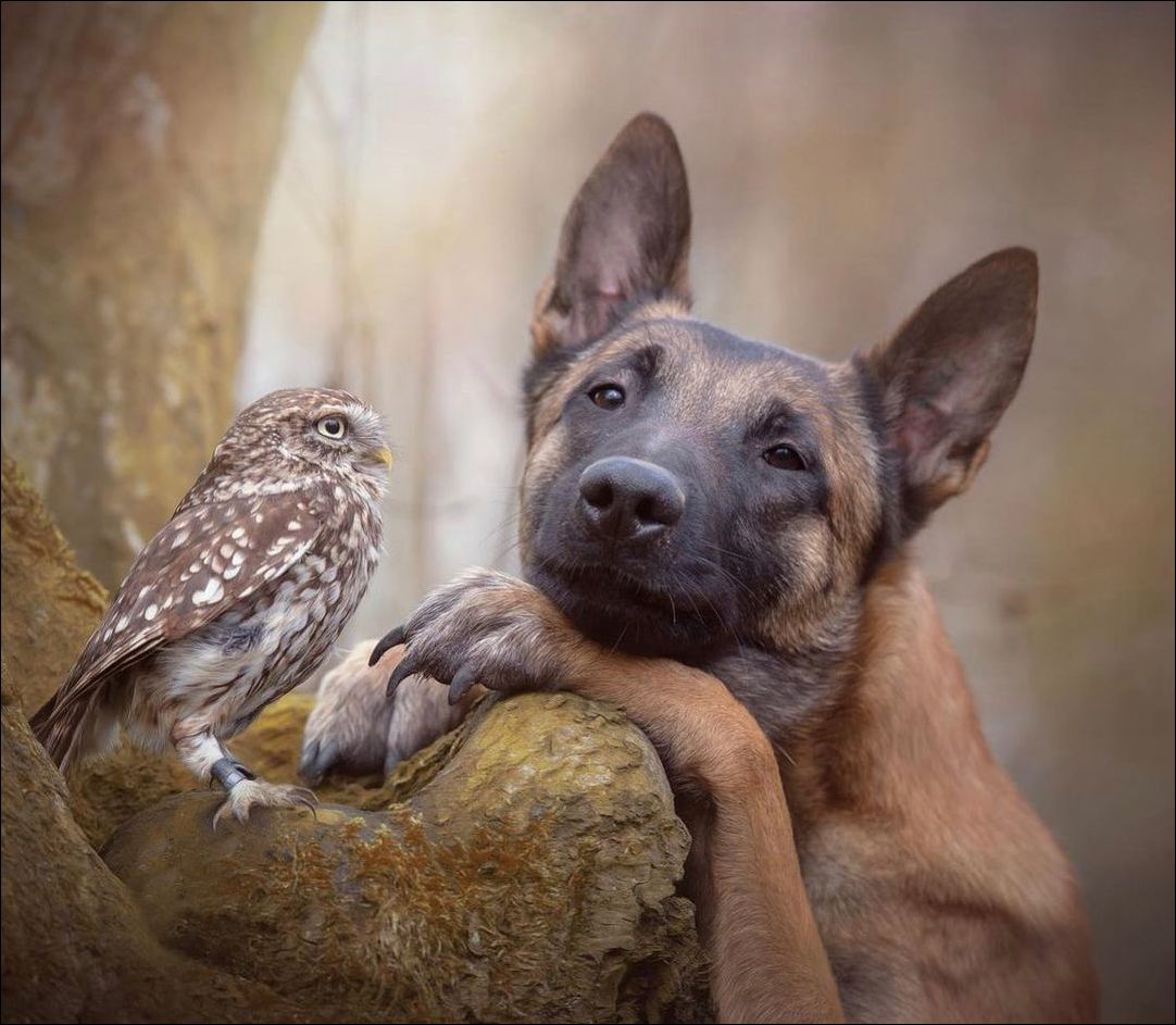 фото приколы